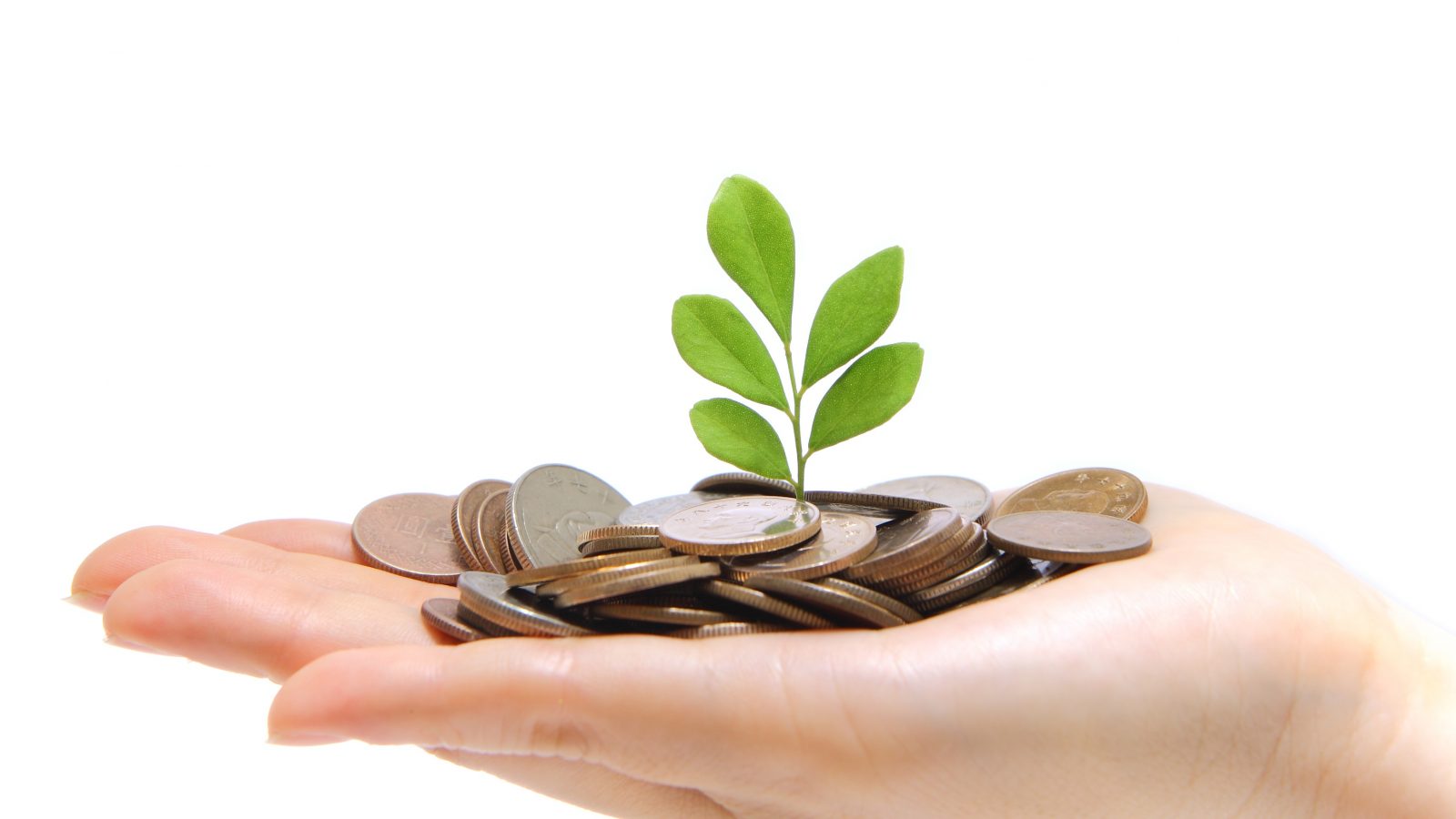 Деньги вложены в землю. Сколько денег на земле. Деньги на дом. Заемщик. Клиент с деньгами.